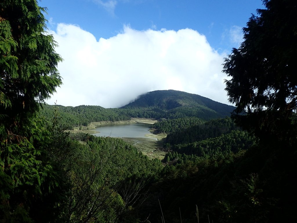 PB265498.JPG - 太平山  翠峰湖環山步道  02