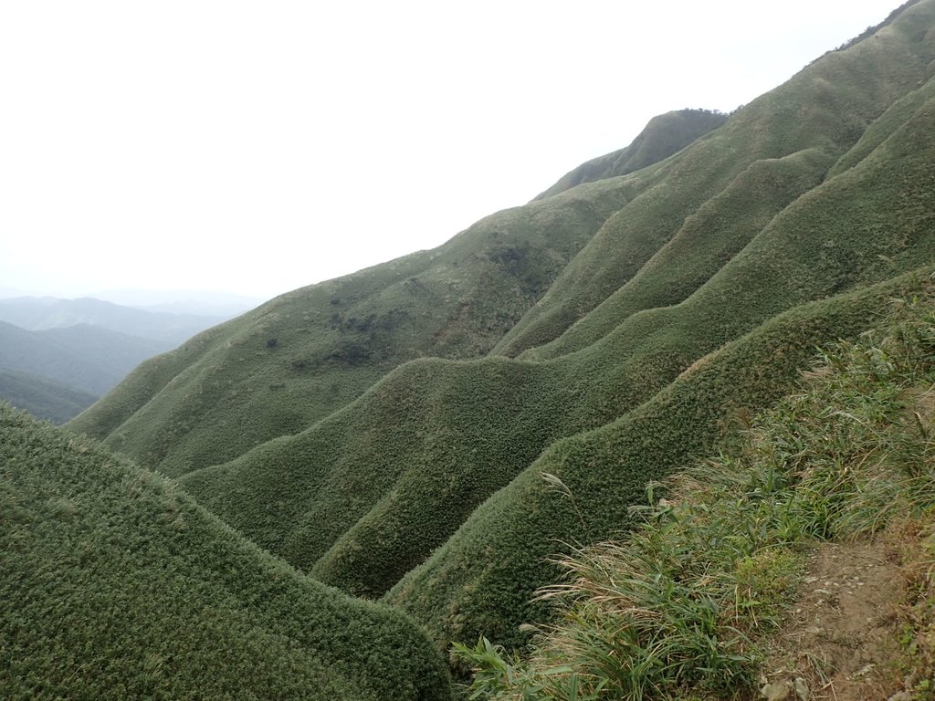 PB159047.JPG - 礁溪  聖母登山步道  (抹茶山)