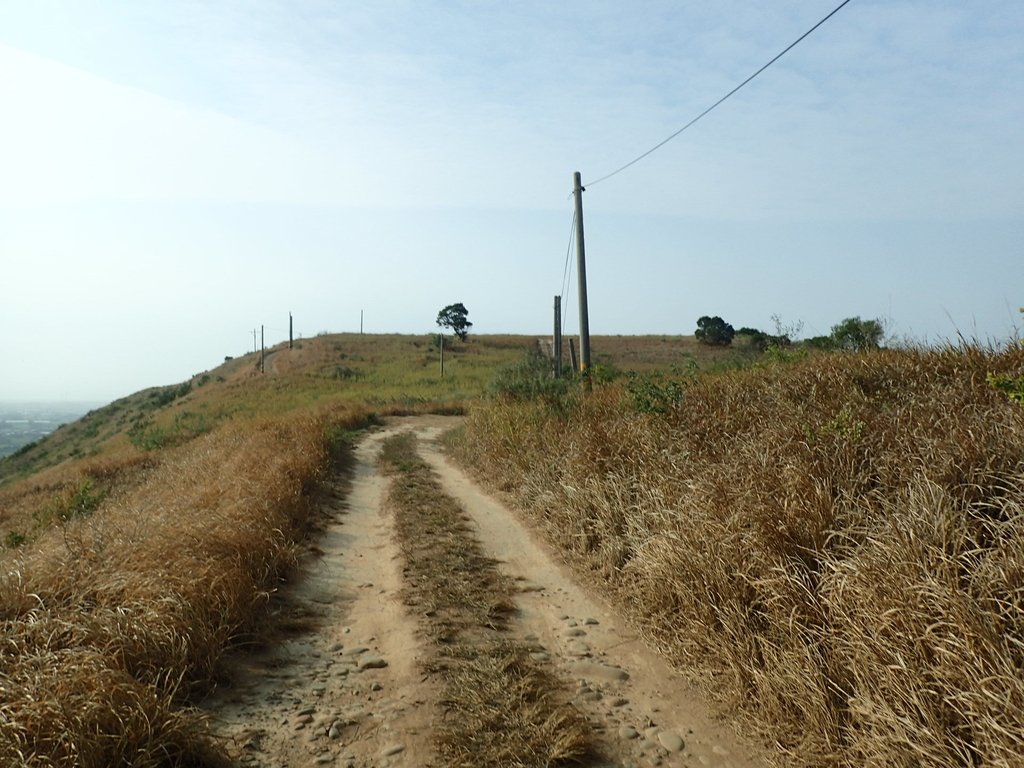 PA160953.JPG - 大甲  鐵砧山大草原