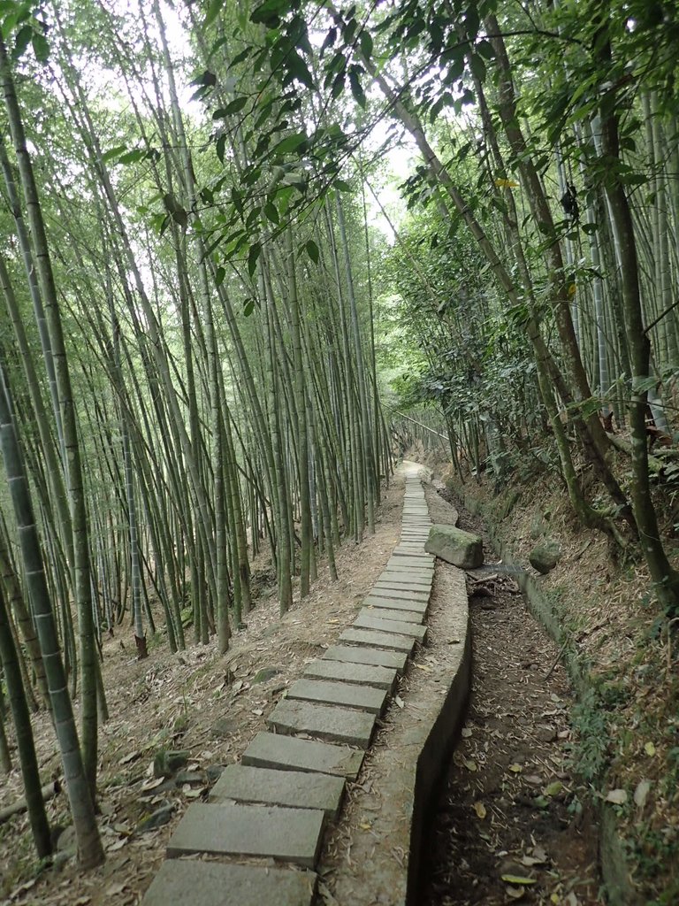 PA171277.JPG - 鹿谷  長源圳古道