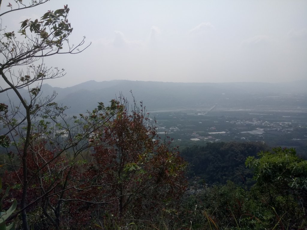 DSC_7317.JPG - 草屯平林  九九峰森林步道