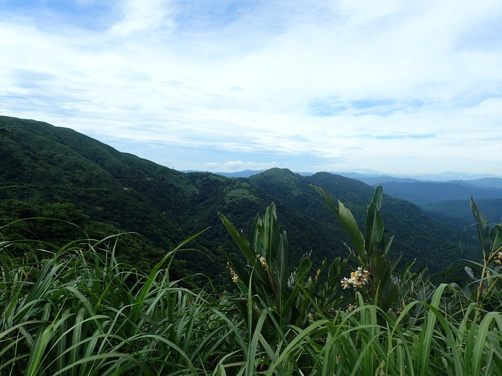 P6090280.JPG - 瑞芳  三貂嶺山  三貂大崙