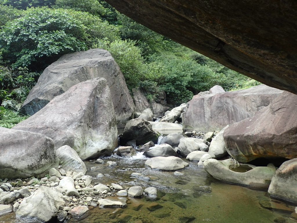 P8317597.JPG - 瑞芳  雷霆岩下之  溪谷風情