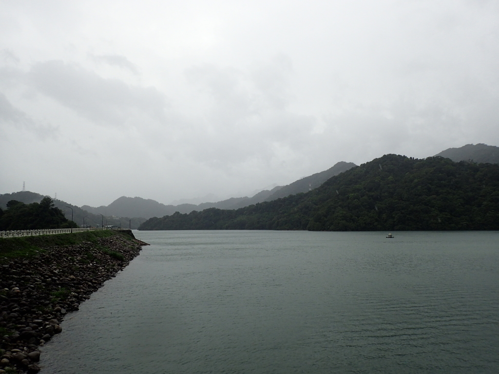 P8247022.JPG - 雨中漫遊  石門水庫