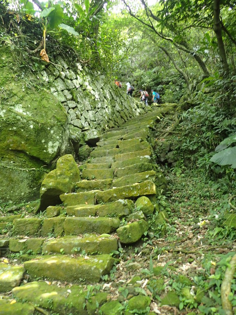 P7062189.JPG - 猴硐  小粗坑古道