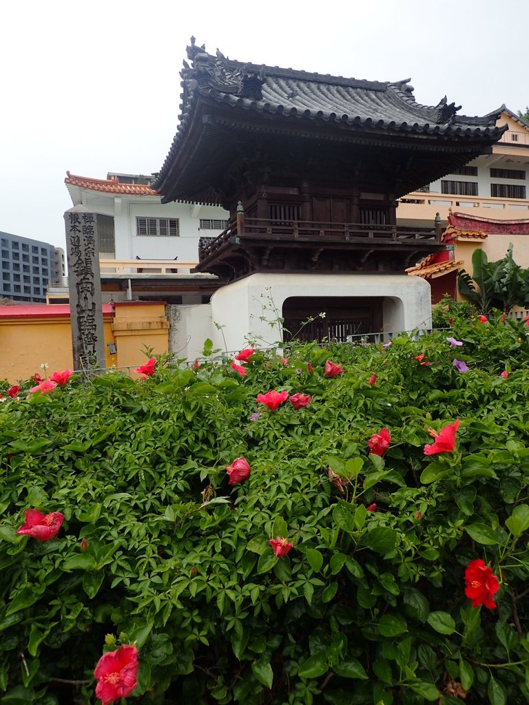 P3116869.JPG - 再探---  臨濟護國禪寺