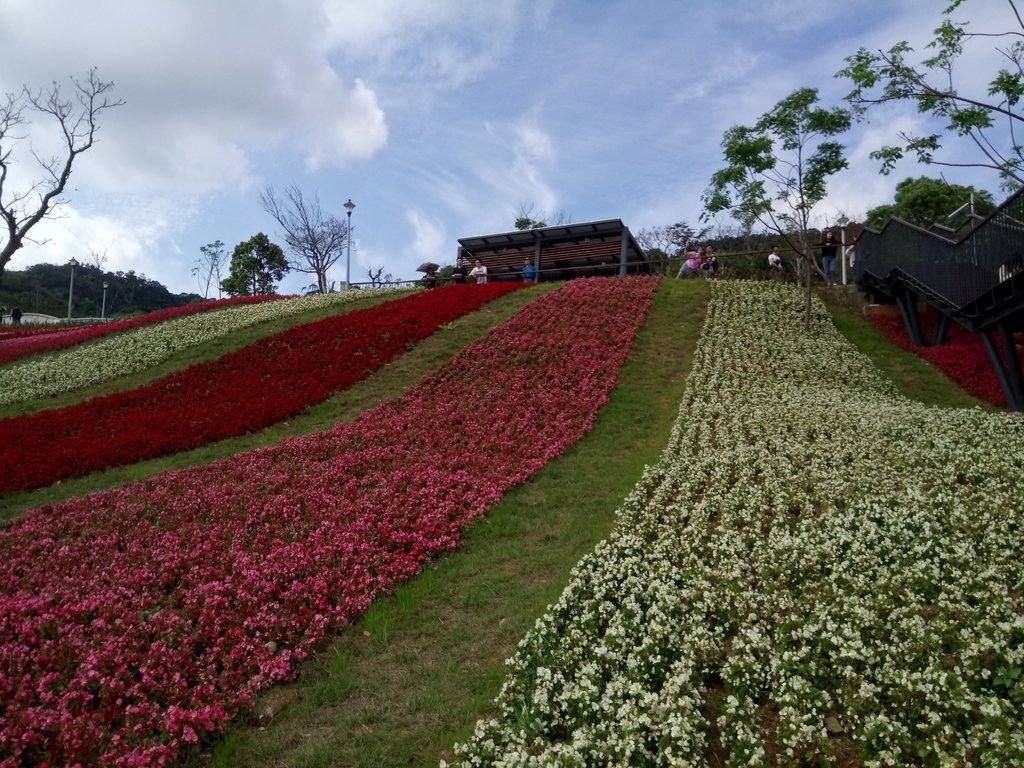 DSC_5432.JPG - 北投社  三層崎公園