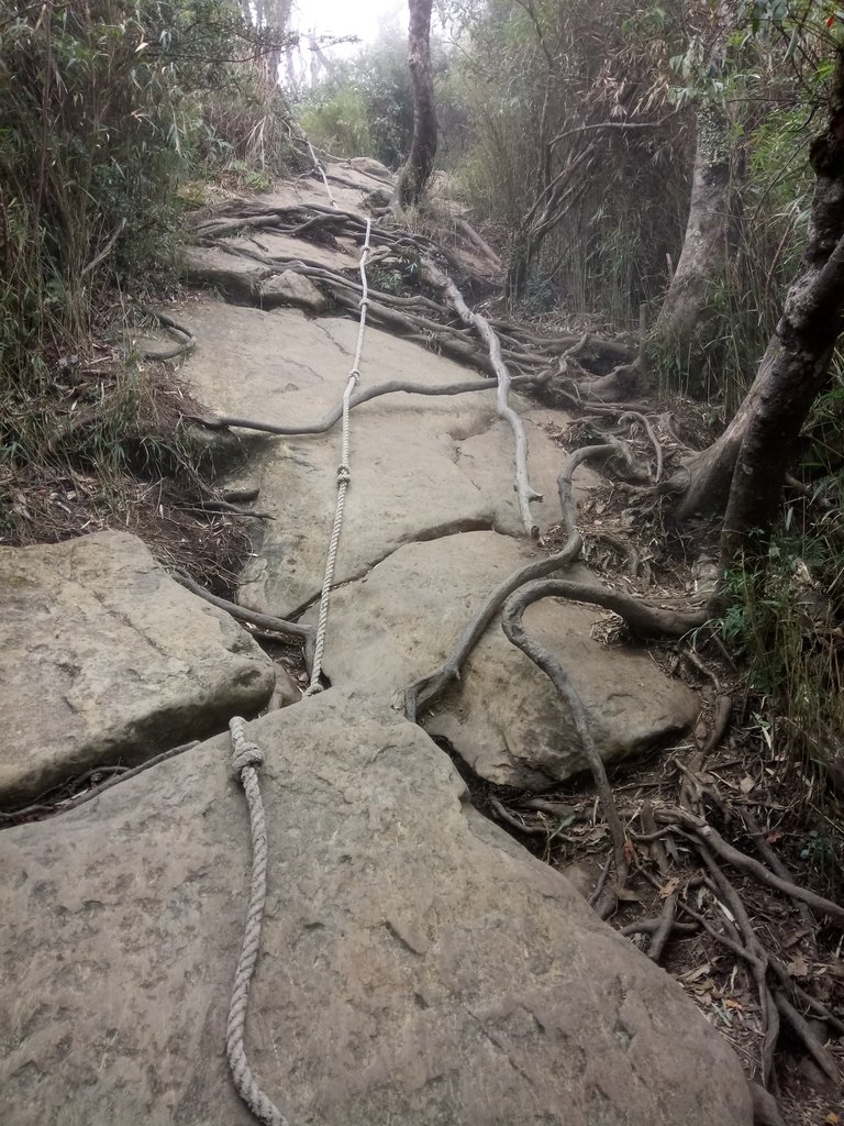 DSC_3706.JPG - 南庄  加里山