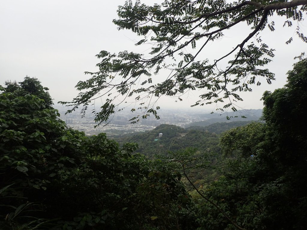 P2095054.JPG - 太平  三汀山  (望高寮)