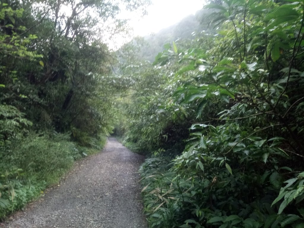 DSC_0138.JPG - 大同  松羅國家步道  (未竟)