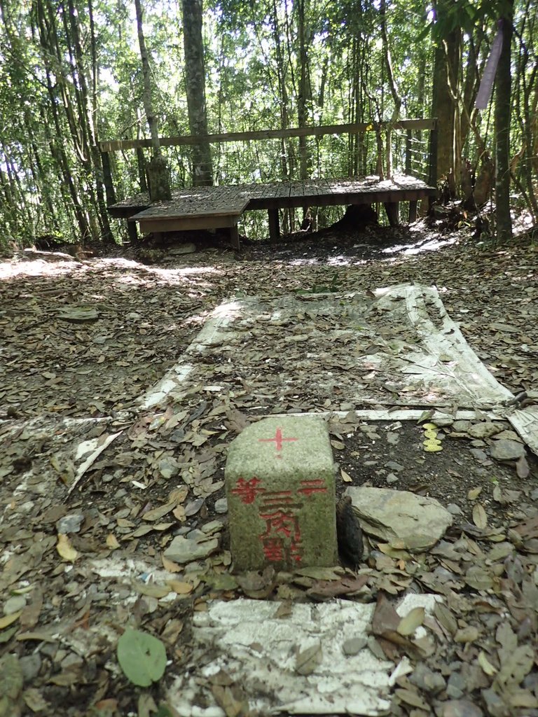 P7105181.JPG - 魚池  水社大山