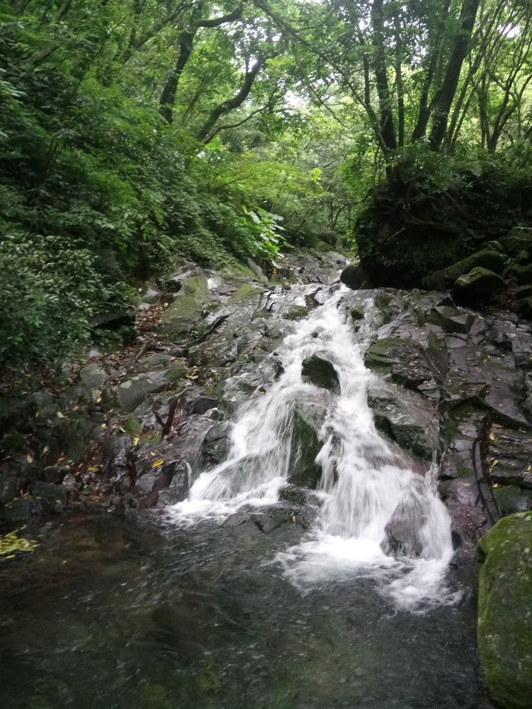 DSC_0713.JPG - 三芝  大屯溪古道