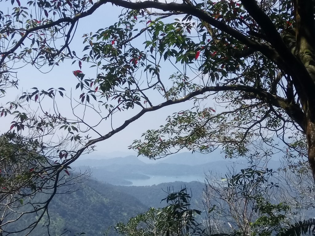 DSC_4053.JPG - 魚池  過坑山登山步道