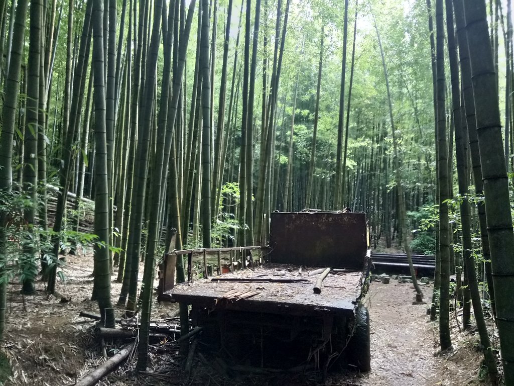 DSC_5217.JPG - 台中和平  長壽山登山步道  (中)