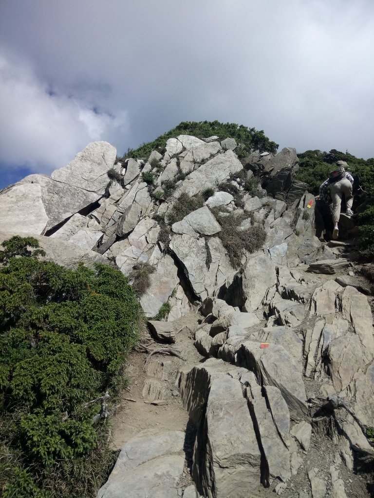 DSC_5348.JPG - 合歡山  北峰之美  (上)