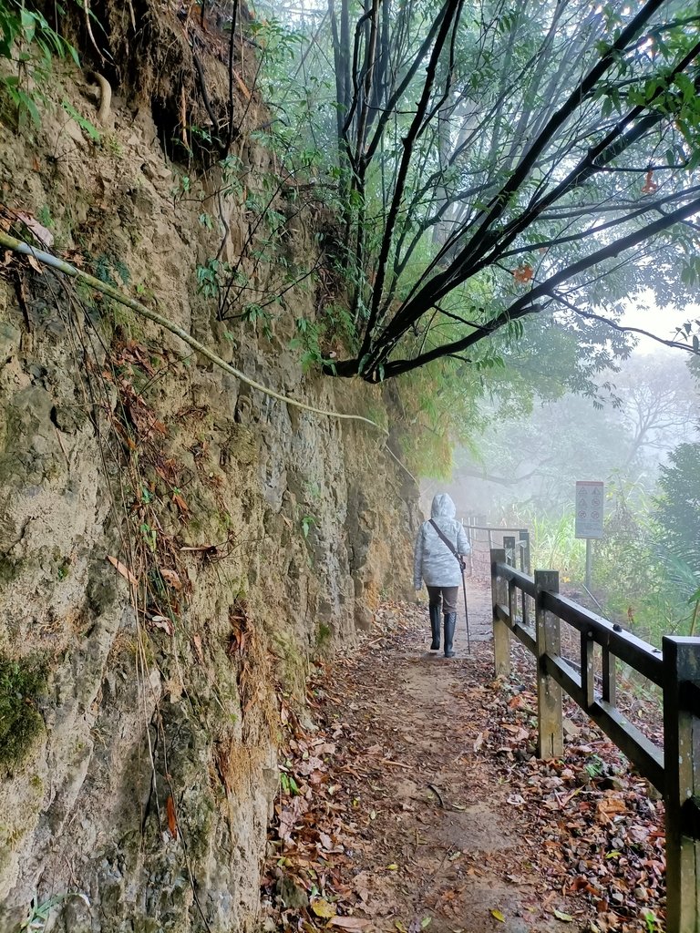 IMG20210108112710.jpg - 梅山  瑞峰村  竹坑溪步道