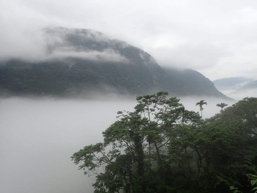 PA231547.JPG - 古坑  草嶺  雲山繚繞