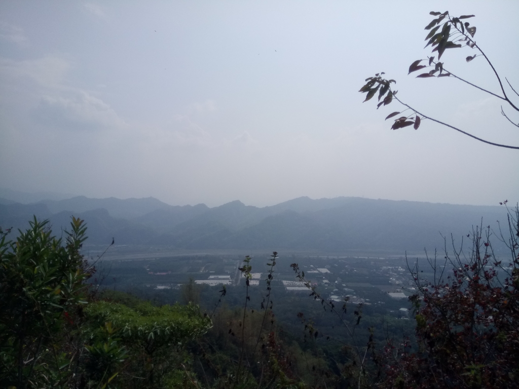 DSC_7321.JPG - 草屯平林  九九峰森林步道