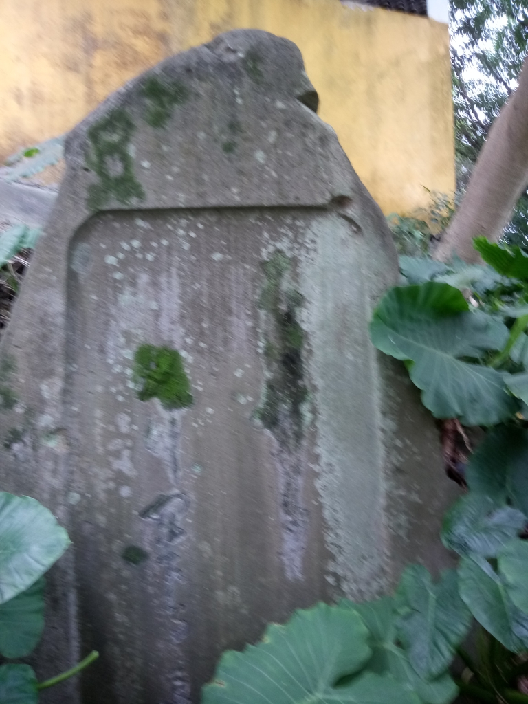 DSC_9181.JPG - 臨濟護國禪寺  日治遺跡巡禮