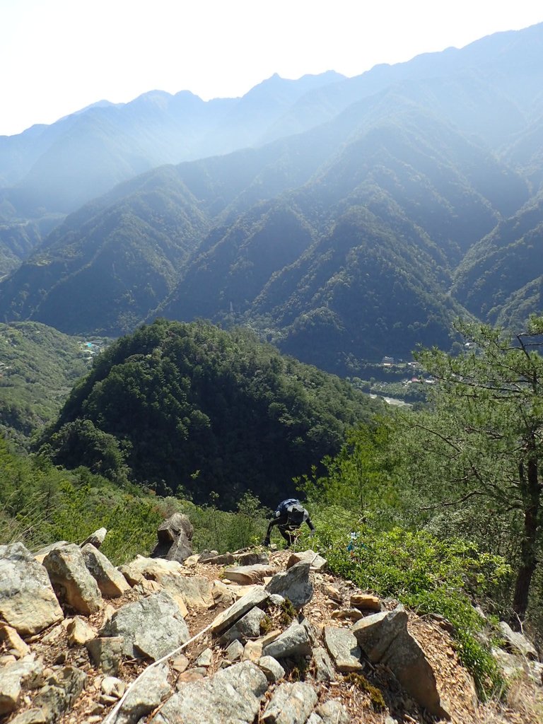 P3167191.JPG - 谷關  東卯山東南稜