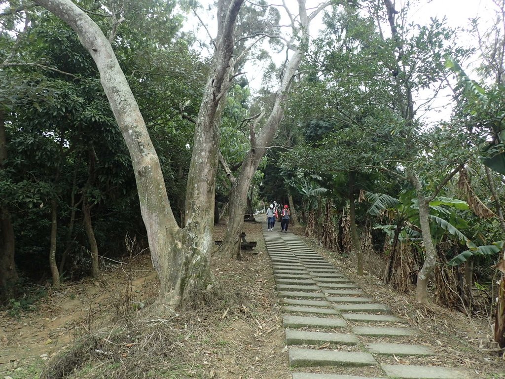 P2095056.JPG - 太平  三汀山  (望高寮)