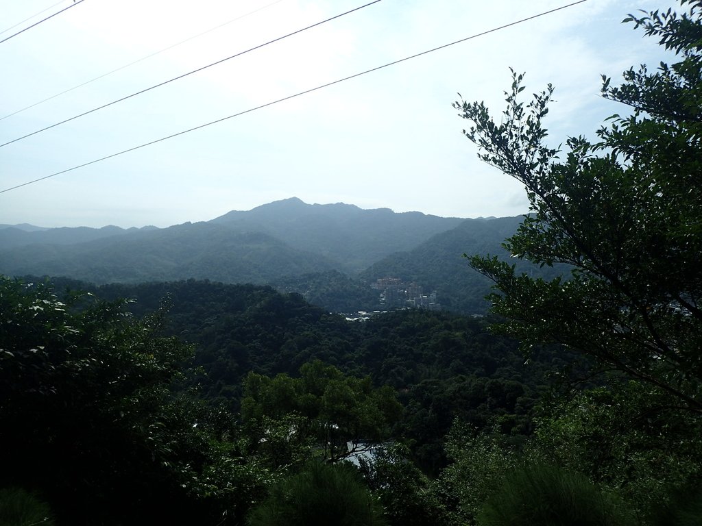 P2145348.JPG - 瑞芳  白象山(弘明山) 未竟