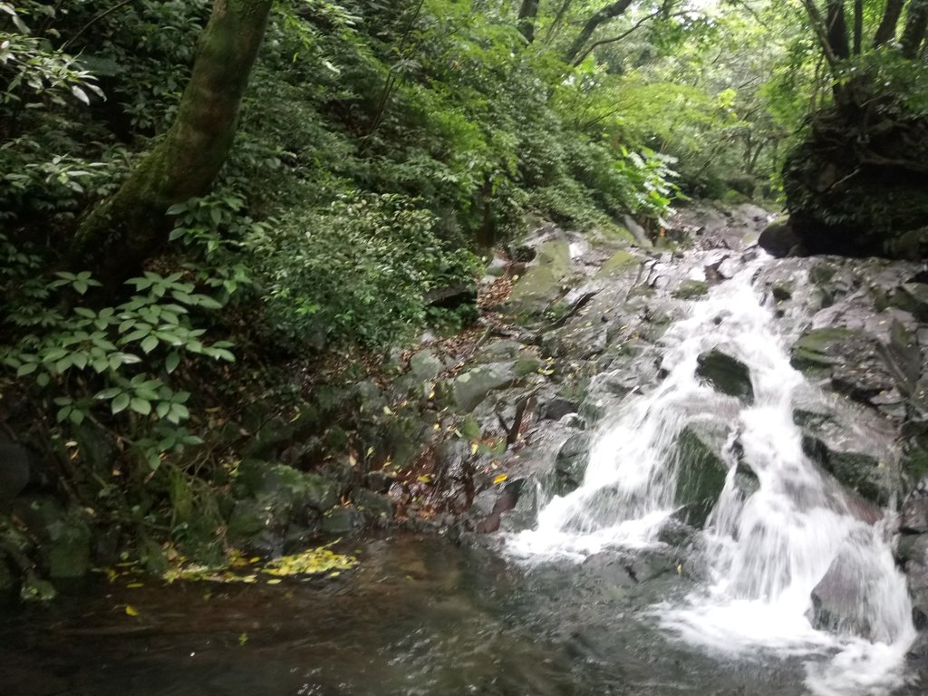 DSC_0714.JPG - 三芝  大屯溪古道