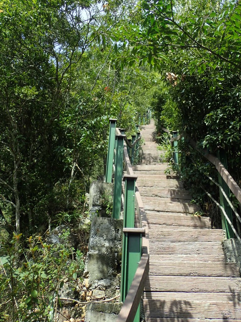 P9017427.JPG - 魚池  頭社  後尖山步道