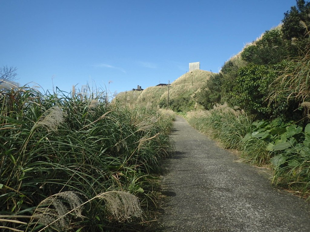 P1216560.JPG - 瑞芳  草山戰備道  (02)