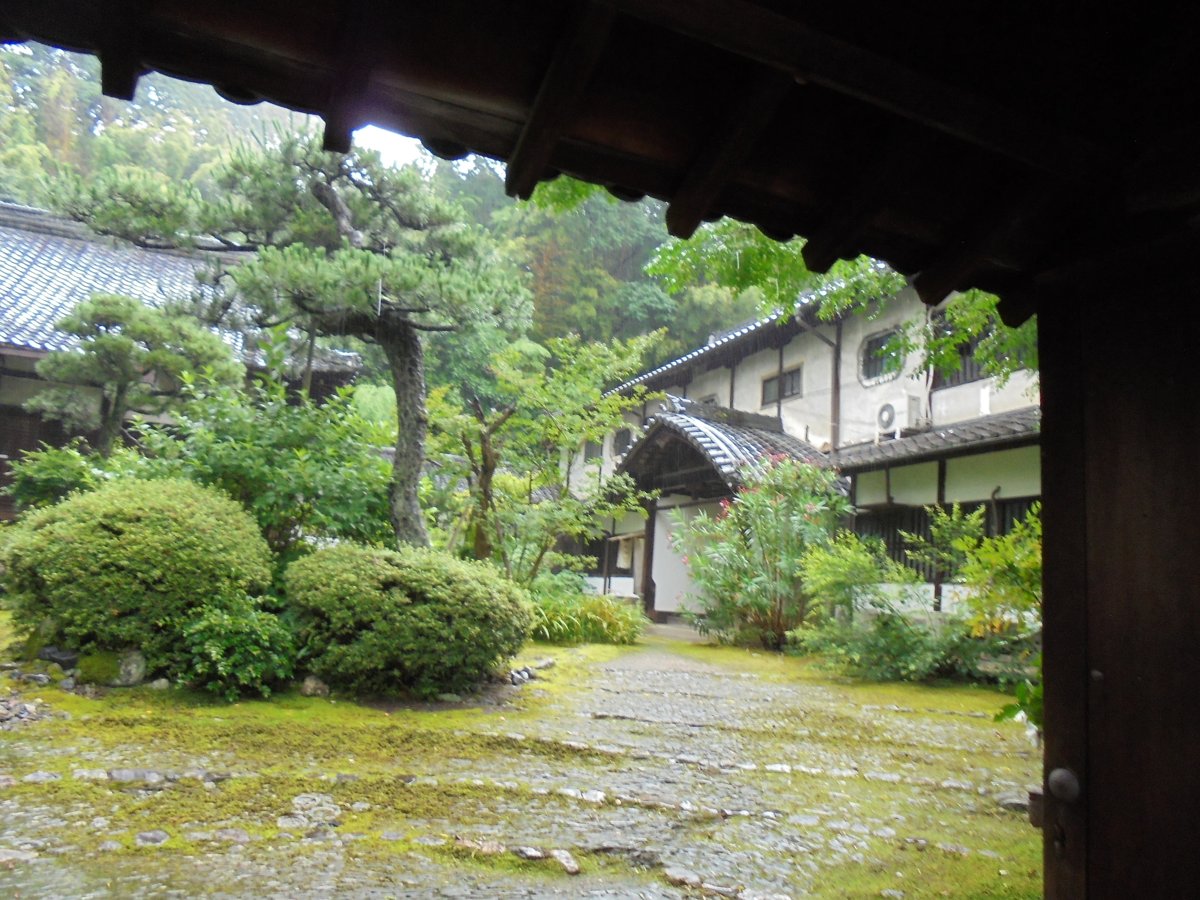 DSC04069.JPG - 京都  華頂山  知恩院