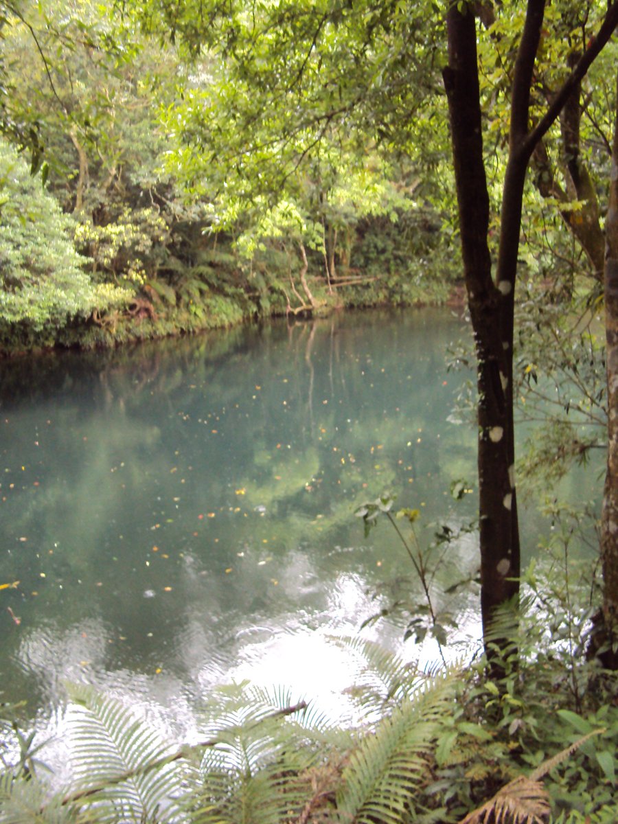 DSC07441.JPG - 雙溪  泰平村  虎豹潭