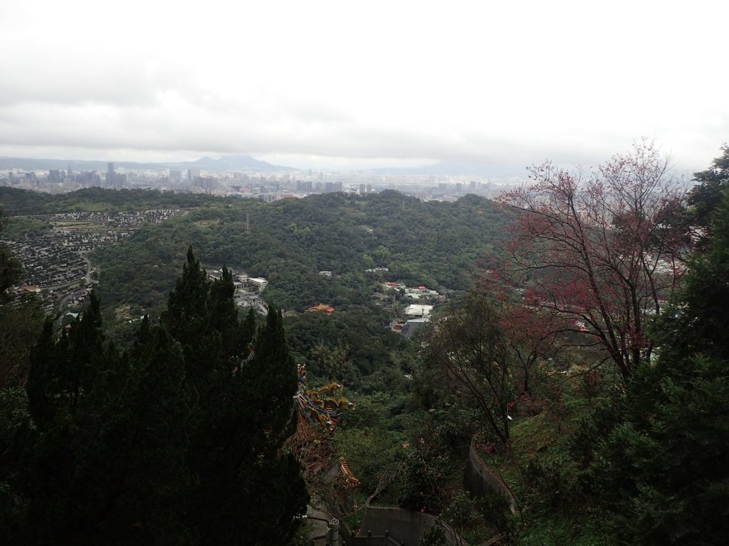 P2178181.JPG - 中和  南勢角山  (烘爐地)