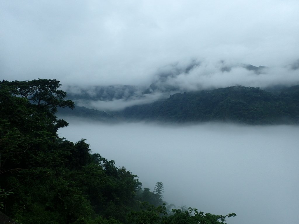 PA231560.JPG - 古坑  草嶺  雲山繚繞