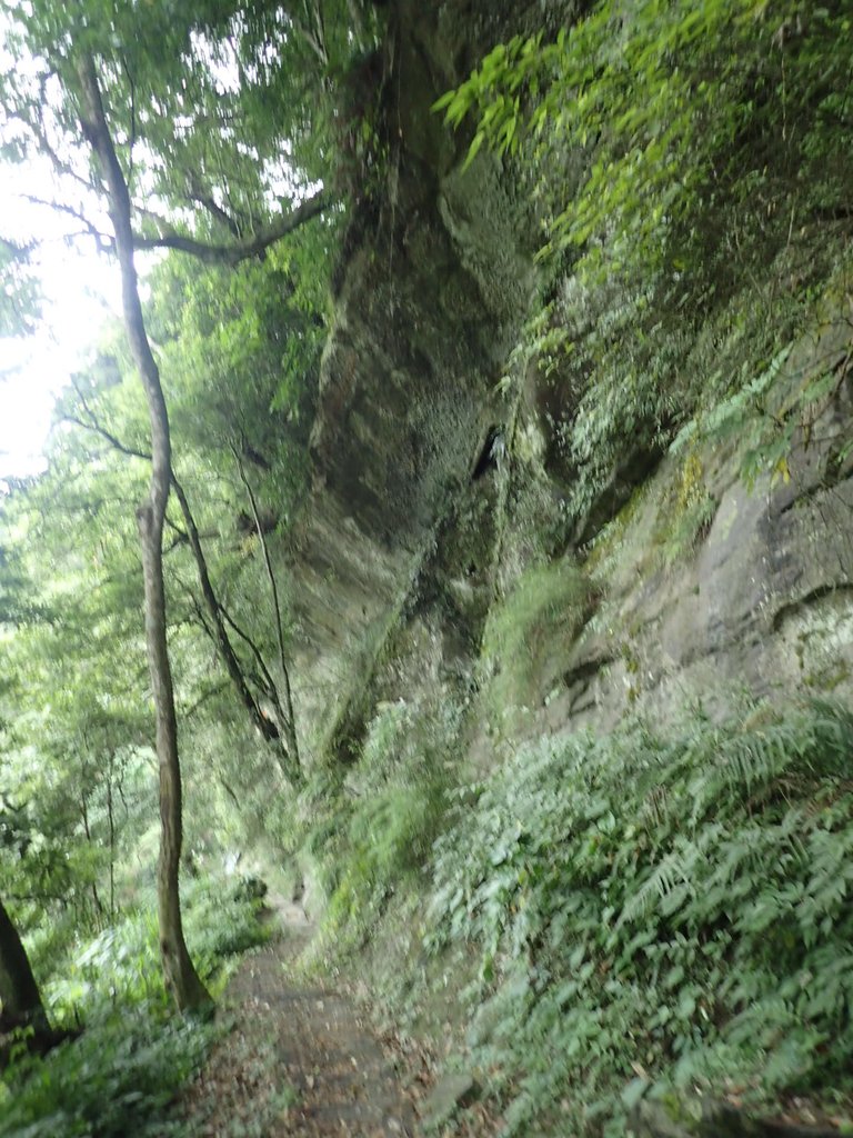 PA231745.JPG - 石壁山  嘉南雲峰步道