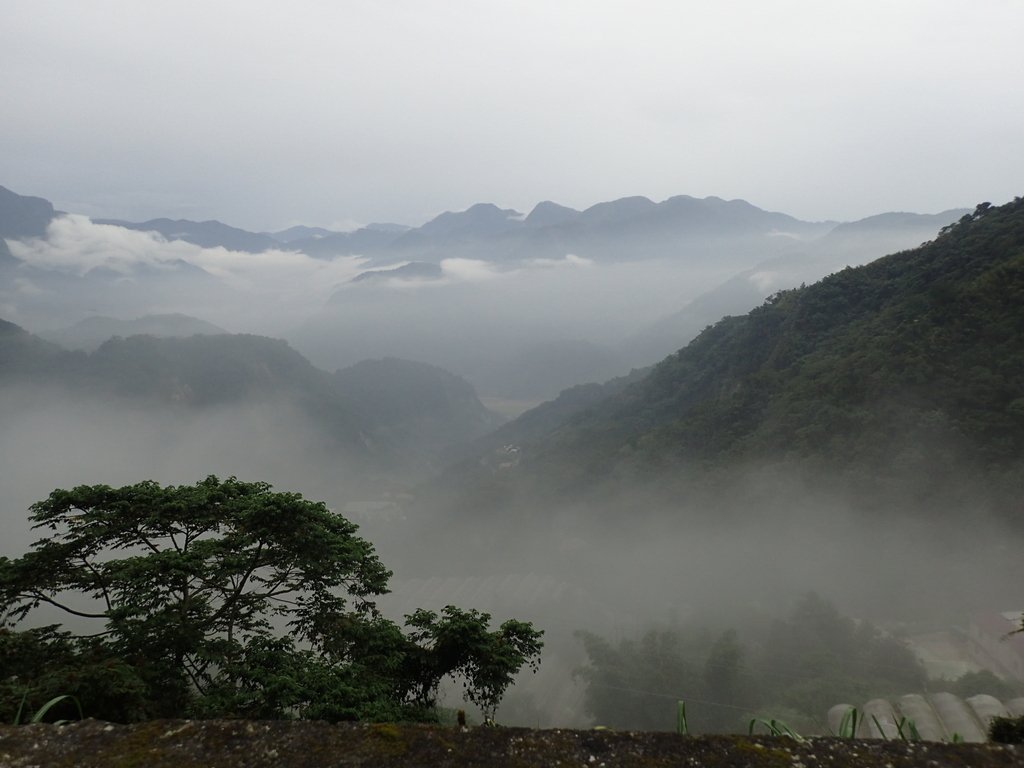 PA231905.JPG - 石壁途中之   茶山雲雨