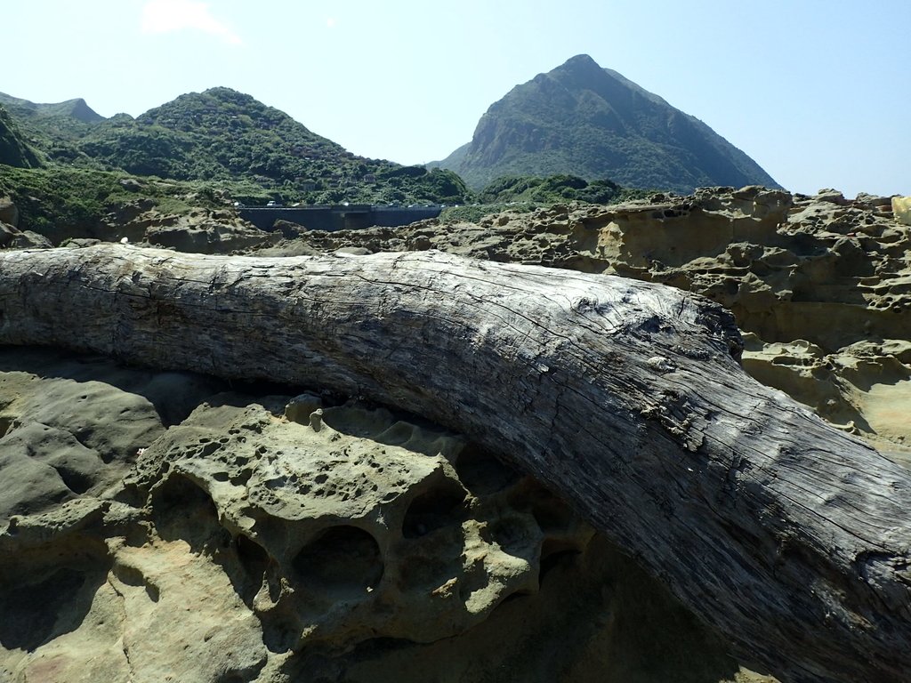 PA104925.JPG - 東北角海岸岩石之美  (01)