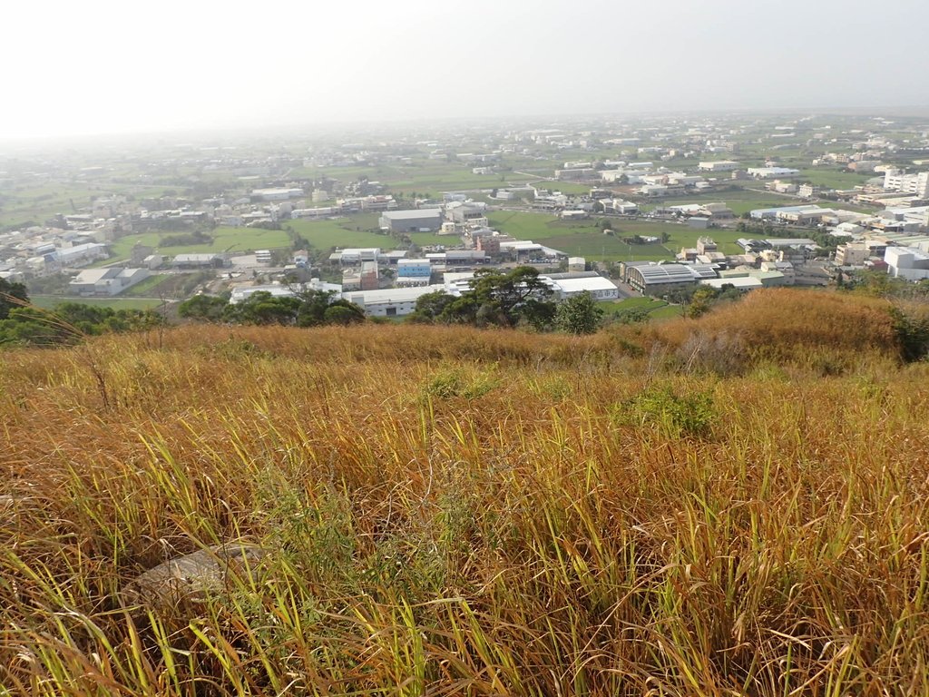 PA160966.JPG - 大甲  鐵砧山大草原