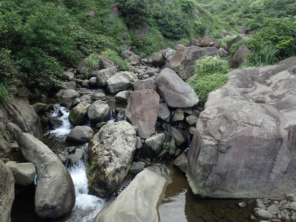 P8317611.JPG - 瑞芳  雷霆岩下之  溪谷風情