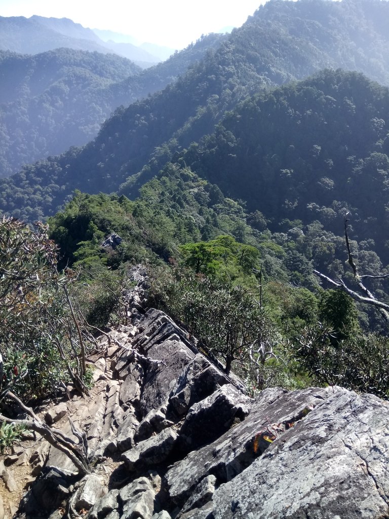 DSC_2617.JPG - 再訪---  台中  和平  鳶嘴山