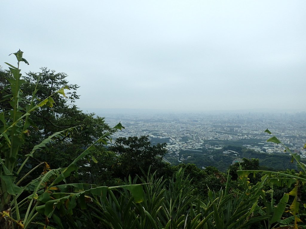 P2095060.JPG - 太平  三汀山  (望高寮)