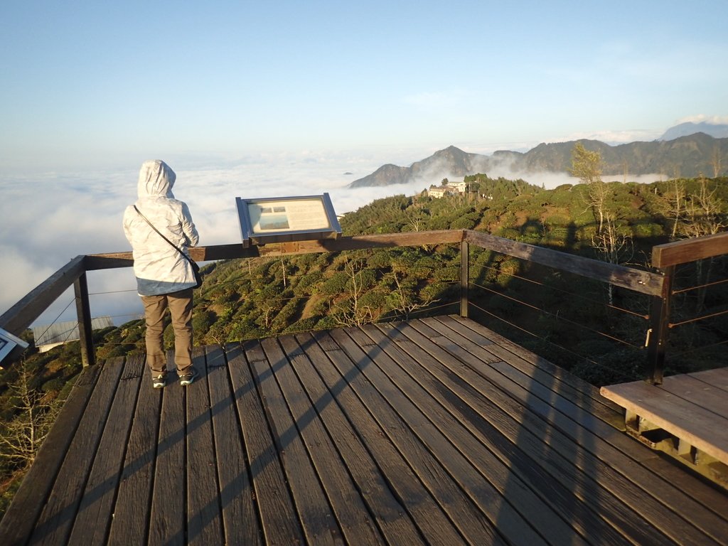 P1076394.JPG - 鹿谷  大崙山  觀霧亭之  暮光