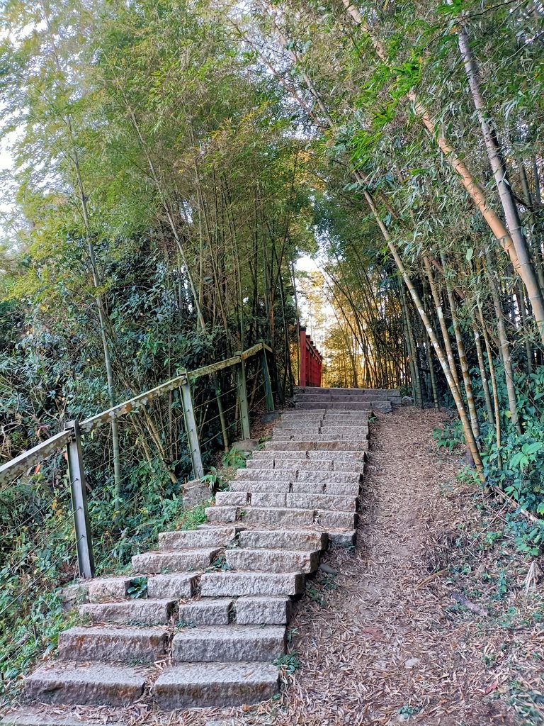 IMG20210130072441.jpg - 雲嘉  大尖山  二尖山步道