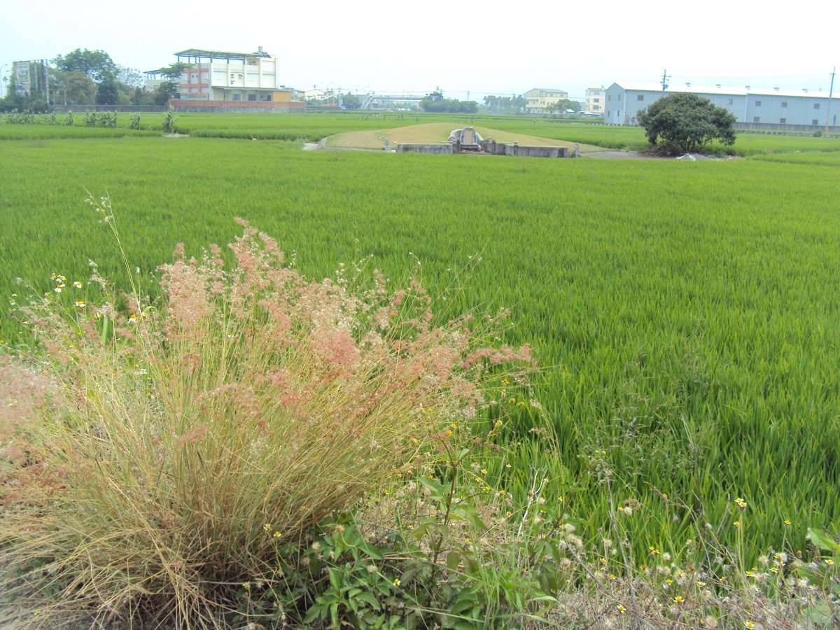 DSC05973.JPG - 草屯  洪秉正古墓