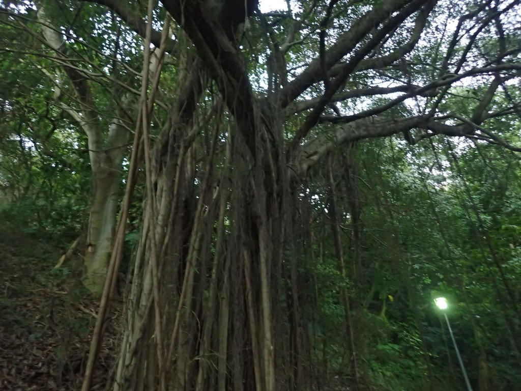 PC018126.JPG - 大直  正願禪寺