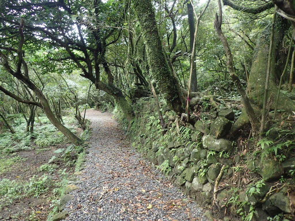 P1274424.JPG - 瑞芳  燦光寮古道初探