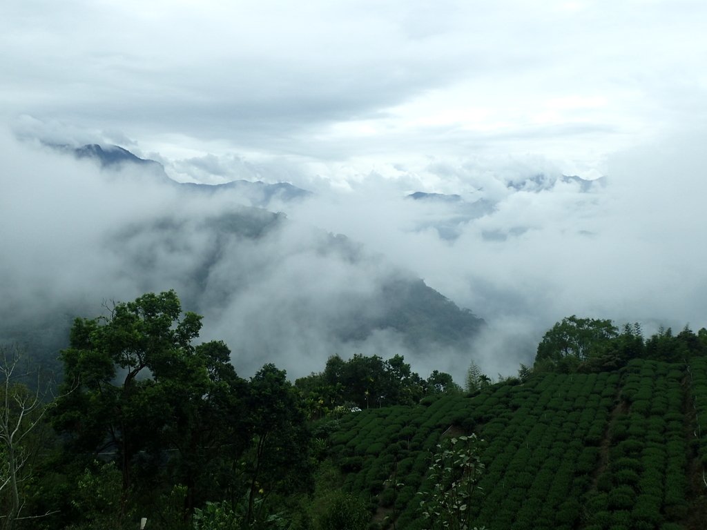 PA231662.JPG - 古坑  草嶺  雲山繚繞