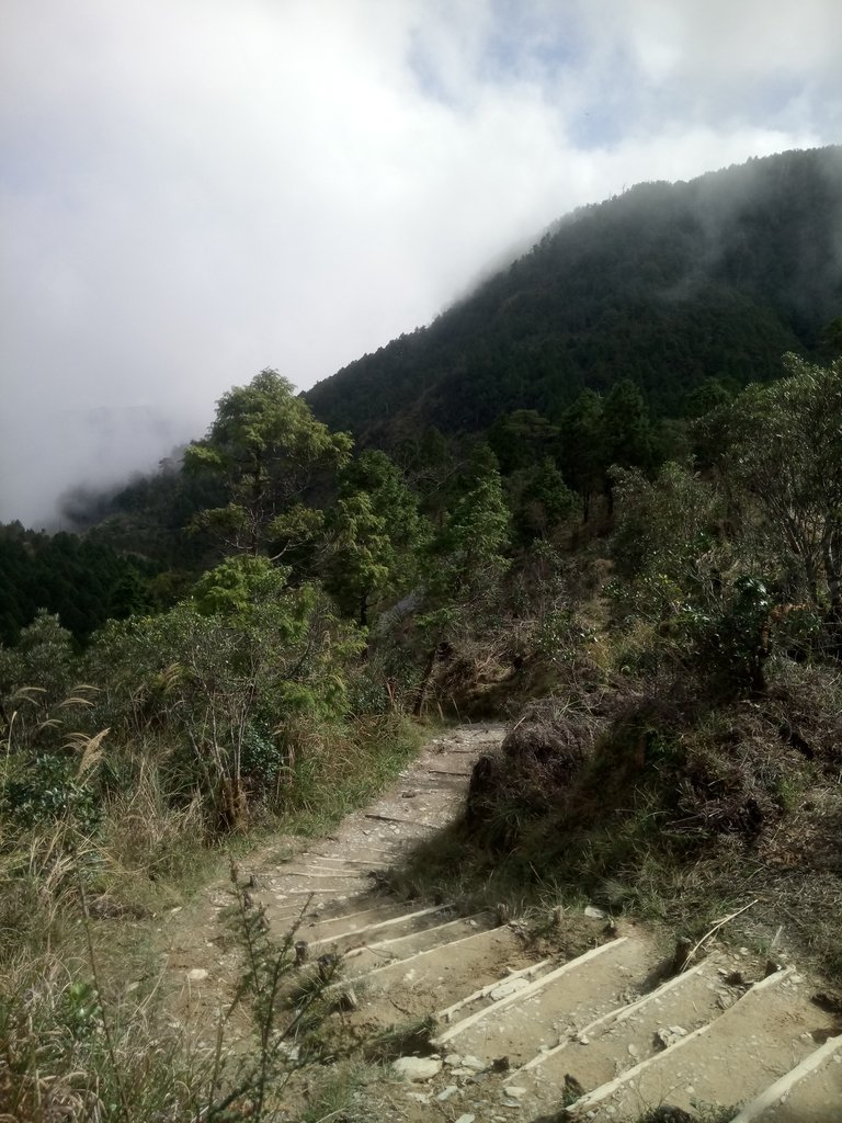 DSC_0054.JPG - 太平山  翠峰湖環山步道  01