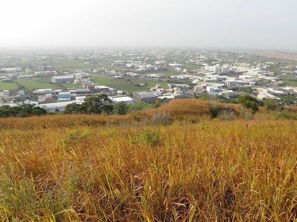 PA160967.JPG - 大甲  鐵砧山大草原