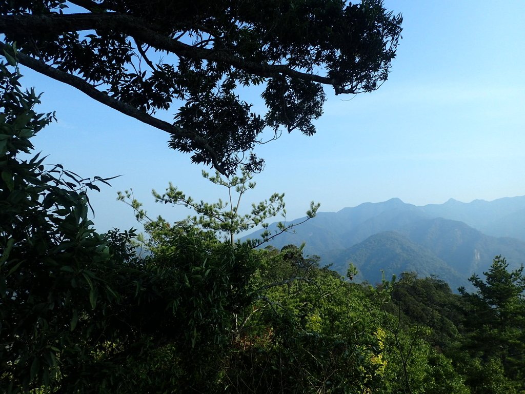 P3217561.JPG - 谷關七雄  白毛山  01