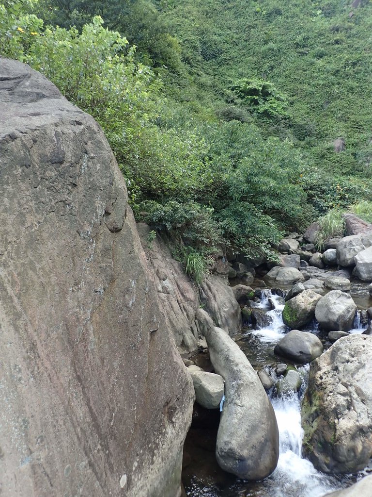 P8317613.JPG - 瑞芳  雷霆岩下之  溪谷風情